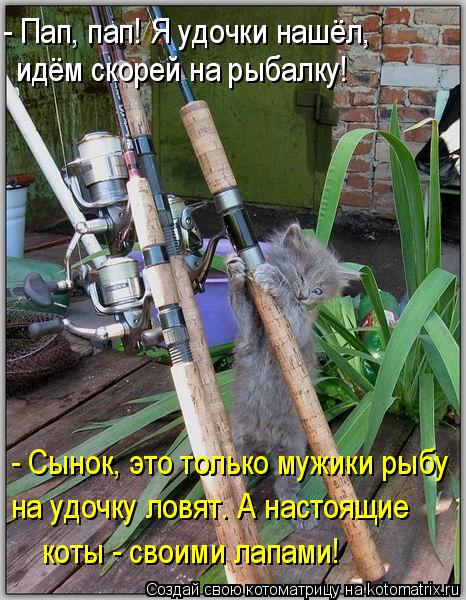 - Пап, пап! Я удочки нашёл, идём скорей на рыбалку! - Сынок, это только мужики рыбу на удочку ловят.... Котоматрица: - Пап, пап! Я удочки нашёл, идём скорей на рыбалку! - Сынок, это только мужики рыбу на удочку ловят. А настоящие коты - своими лапами!
