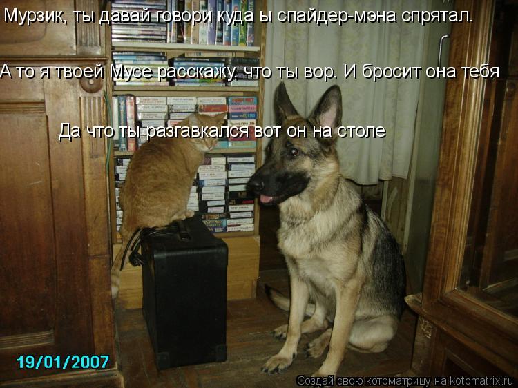 Мурзик, ты давай говори куда ы спайдер-мэна спрятал. А то я твоей Мусе расскажу, что ты вор. И бросит... Котоматрица: Мурзик, ты давай говори куда ы спайдер-мэна спрятал. А то я твоей Мусе расскажу, что ты вор. И бросит она тебя Да что ты разгавкался вот он на с