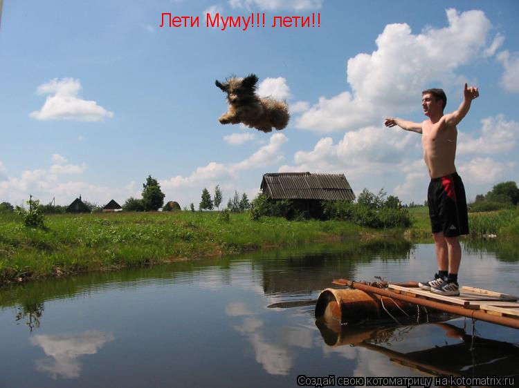Лети Муму!!! лети!!... Котоматрица: Лети Муму!!! лети!!