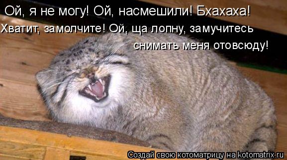 Ой, я не могу! Ой, насмешили! Бхахаха! Хватит, замолчите! Ой, ща лопну, замучитесь снимать меня отов... Котоматрица: Ой, я не могу! Ой, насмешили! Бхахаха! Хватит, замолчите! Ой, ща лопну, замучитесь снимать меня отовсюду!