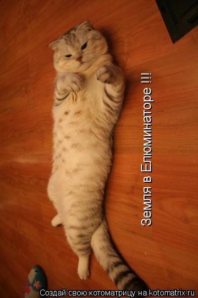 Земля в Елюминаторе !!!... Котоматрица: Земля в Елюминаторе !!!