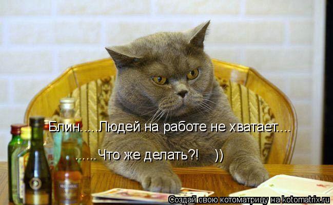 Блин.....Людей на работе не хватает.... ......Что же делать?! ))... Котоматрица: Блин.....Людей на работе не хватает.... ......Что же делать?! ))