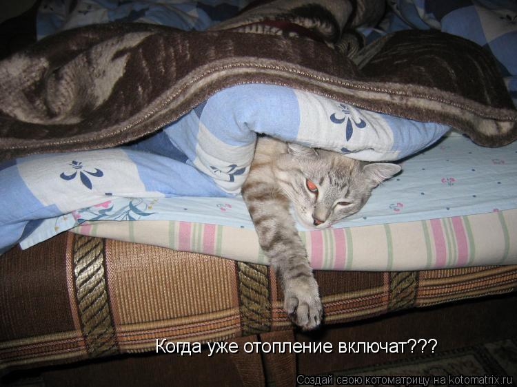 Когда уже отопление включат???... Котоматрица: Когда уже отопление включат???
