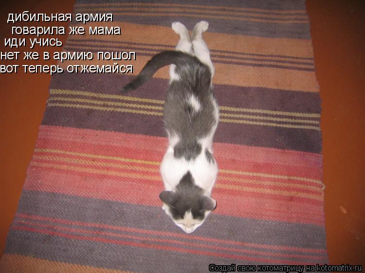 Котоматрица: дибильная армия говарила же мама иди учись нет же в армию пошол  вот теперь отжемайся