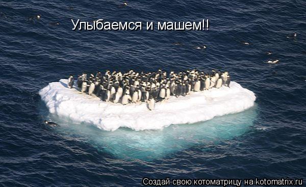 Улыбаемся и машем!!... Котоматрица: Улыбаемся и машем!!