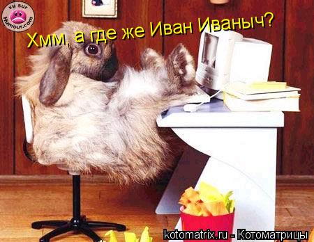 Хмм, а где же Иван Иваныч?... Котоматрица: Хмм, а где же Иван Иваныч?
