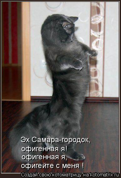 офигейте с меня ! офигенная я, офигенная я! Эх Самара-городок,... Котоматрица: офигейте с меня ! офигенная я, офигенная я! Эх Самара-городок,