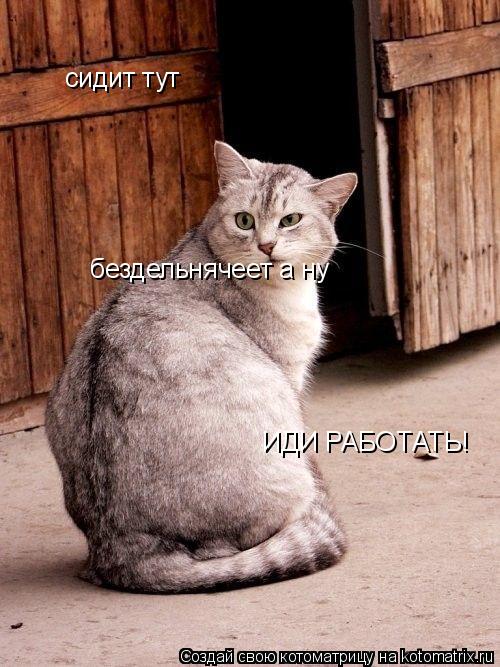сидит тут ИДИ РАБОТАТЬ! бездельнячеет а ну... Котоматрица: сидит тут ИДИ РАБОТАТЬ! бездельнячеет а ну