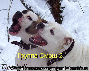 Группа Смэш-2... Котоматрица: Группа Смэш-2
