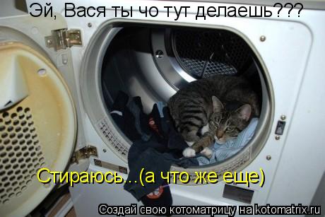 Эй, Вася ты чо тут делаешь??? Стираюсь...(а что же еще)... Котоматрица: Эй, Вася ты чо тут делаешь??? Стираюсь...(а что же еще)