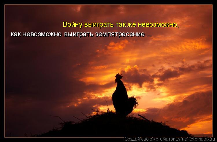 Войну выиграть так же невозможно, как невозможно выиграть землятресение ...... Котоматрица: Войну выиграть так же невозможно, как невозможно выиграть землятресение ...