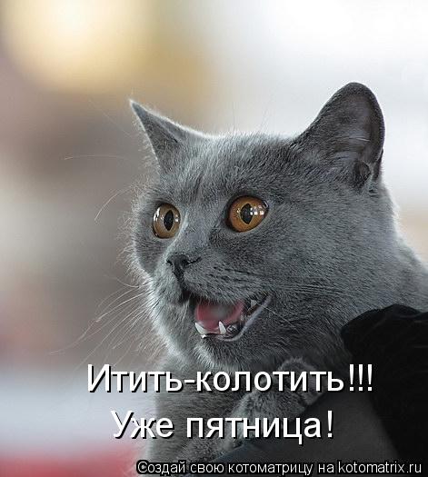 Итить-колотить!!! Уже пятница!... Котоматрица: Итить-колотить!!! Уже пятница!