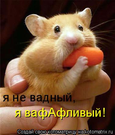 я не вадный, я вафАфливый!... Котоматрица: я не вадный, я вафАфливый!