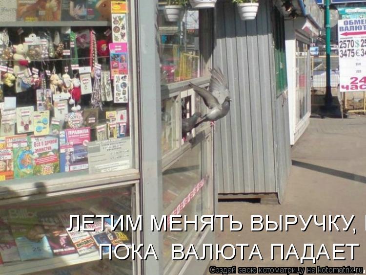 Котоматрица: ПОКА  ВАЛЮТА ПАДАЕТ ЛЕТИМ МЕНЯТЬ ВЫРУЧКУ, ПОКА  ВАЛЮТА ПАДАЕТ