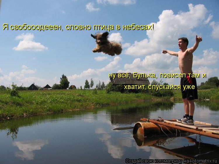 Я свобооодееен, словно птица в небесах! ну всё, Булька, повисел там и хватит, спускайся уже... Котоматрица: Я свобооодееен, словно птица в небесах! ну всё, Булька, повисел там и хватит, спускайся уже