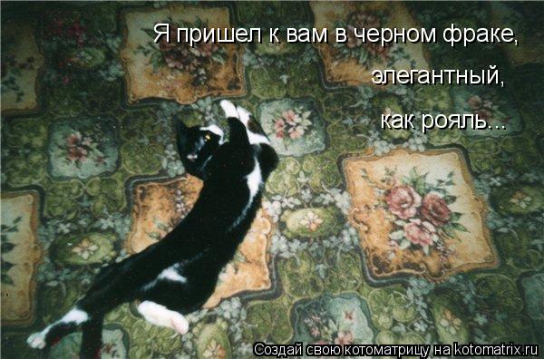 Я пришел к вам в черном фраке, элегантный, как рояль...... Котоматрица: Я пришел к вам в черном фраке, элегантный, как рояль...