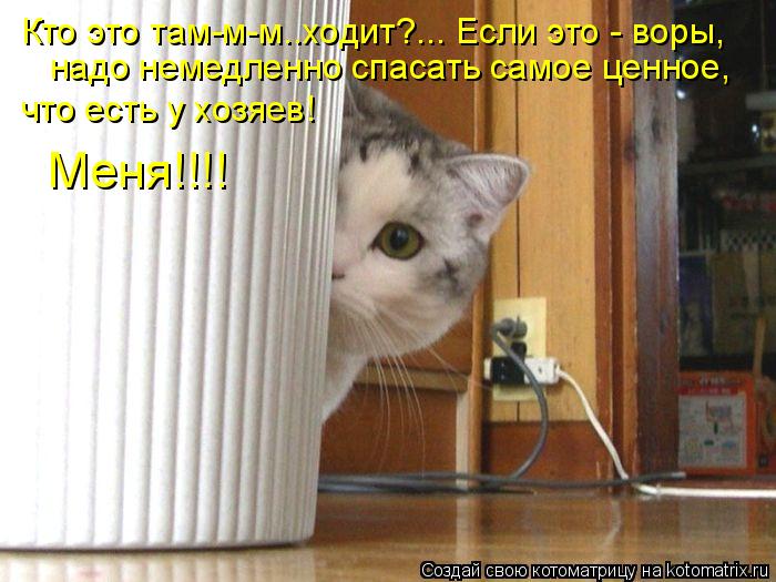 Кто это там-м-м..ходит?... Если это - воры, что есть у хозяев! Меня!!!! надо немедленно спасать самое... Котоматрица: Кто это там-м-м..ходит?... Если это - воры, что есть у хозяев! Меня!!!! надо немедленно спасать самое ценное,