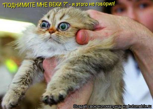 "ПОДНИМИТЕ МНЕ ВЕКИ ?" - я этого не говорил!... Котоматрица: "ПОДНИМИТЕ МНЕ ВЕКИ ?" - я этого не говорил!