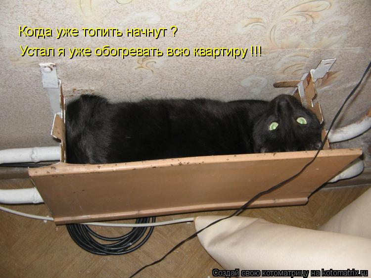 Устал я уже обогревать всю квартиру !!! Когда уже топить начнут ?... Котоматрица: Устал я уже обогревать всю квартиру !!! Когда уже топить начнут ?