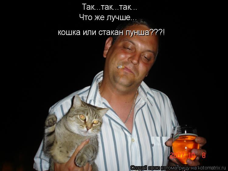 Так...так...так... Что же лучше... кошка или стакан пунша???!... Котоматрица: Так...так...так... Что же лучше... кошка или стакан пунша???!