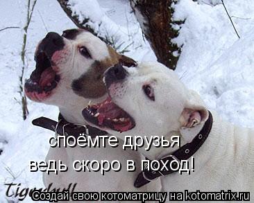 споёмте друзья ведь скоро в поход!... Котоматрица: споёмте друзья ведь скоро в поход!