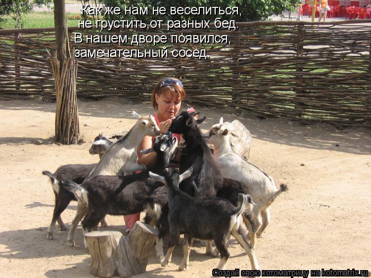 Котоматрица: Как же нам не веселиться, не грустить,от разных бед. В нашем дворе появился, замечательный сосед.