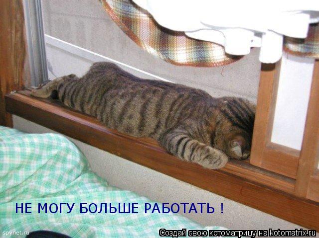 НЕ МОГУ БОЛЬШЕ РАБОТАТЬ !... Котоматрица: НЕ МОГУ БОЛЬШЕ РАБОТАТЬ !