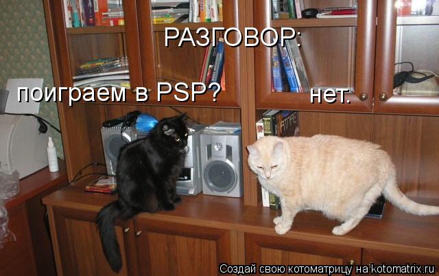 РАЗГОВОР: поиграем в PSP? нет.... Котоматрица: РАЗГОВОР: поиграем в PSP? нет.