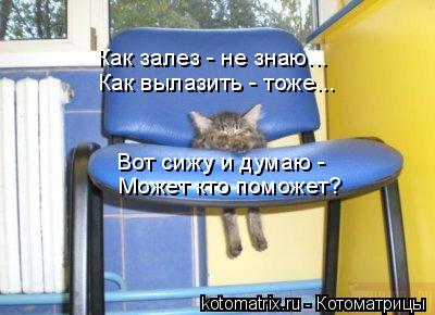 Котоматрица: Как залез - не знаю... Как вылазить - тоже... Вот сижу и думаю -  Может кто поможет?