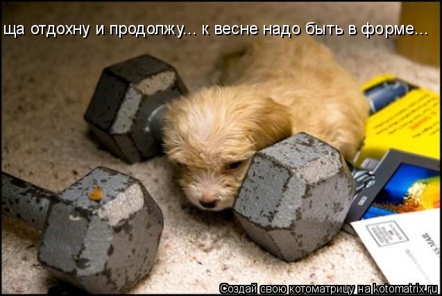 ща отдохну и продолжу... к весне надо быть в форме...... Котоматрица: ща отдохну и продолжу... к весне надо быть в форме...