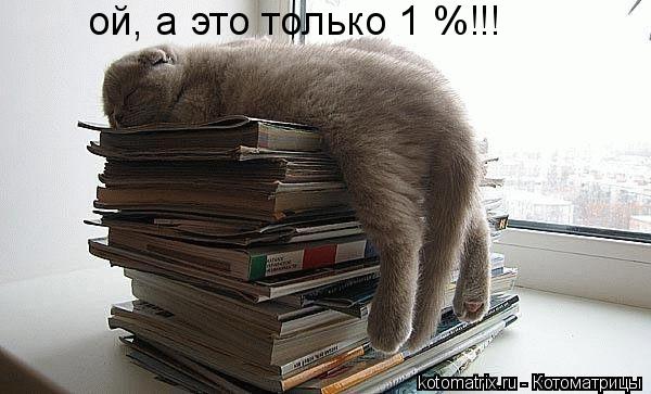 ой, а это только 1 %!!!... Котоматрица: ой, а это только 1 %!!!