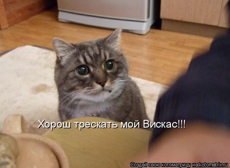 Хорош трескать мой Вискас!!!... Котоматрица: Хорош трескать мой Вискас!!!