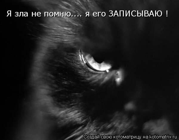 Я зла не помню.... я его ЗАПИСЫВАЮ !... Котоматрица: Я зла не помню.... я его ЗАПИСЫВАЮ !