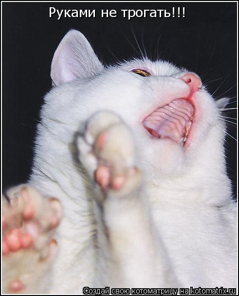 Руками не трогать!!!... Котоматрица: Руками не трогать!!!