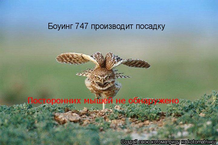Боуинг 747 производит посадку Посторонних мышей не обнаружено... Котоматрица: Боуинг 747 производит посадку Посторонних мышей не обнаружено