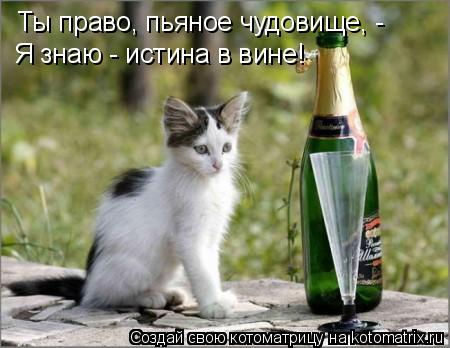 Ты право, пьяное чудовище, - Я знаю - истина в вине!... Котоматрица: Ты право, пьяное чудовище, - Я знаю - истина в вине!