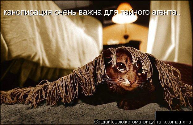 канспирация очень важна для тайного агента..... Котоматрица: канспирация очень важна для тайного агента..
