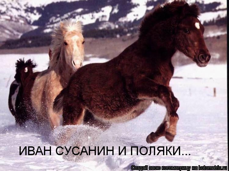 Котоматрица: ИВАН СУСАНИН И ПОЛЯКИ...