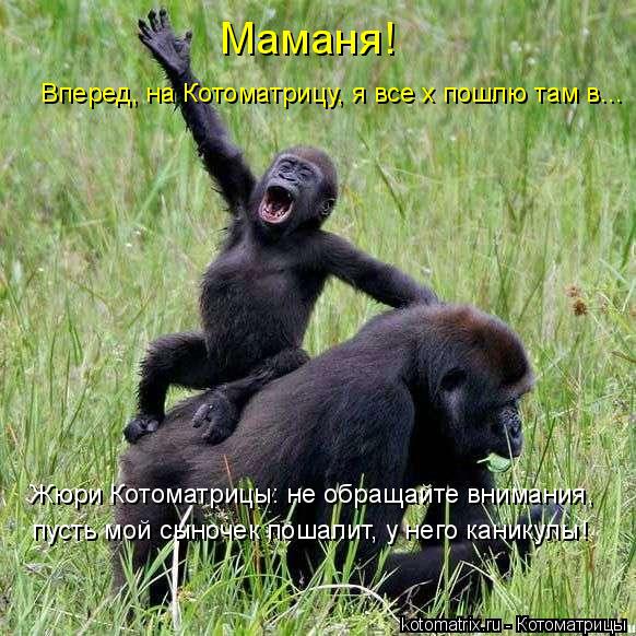 Маманя! Вперед, на Котоматрицу, я все х пошлю там в... Жюри Котоматрицы: не обращайте внимания, ... Котоматрица: Маманя! Вперед, на Котоматрицу, я все х пошлю там в... Жюри Котоматрицы: не обращайте внимания, пусть мой сыночек пошалит, у него каникулы!