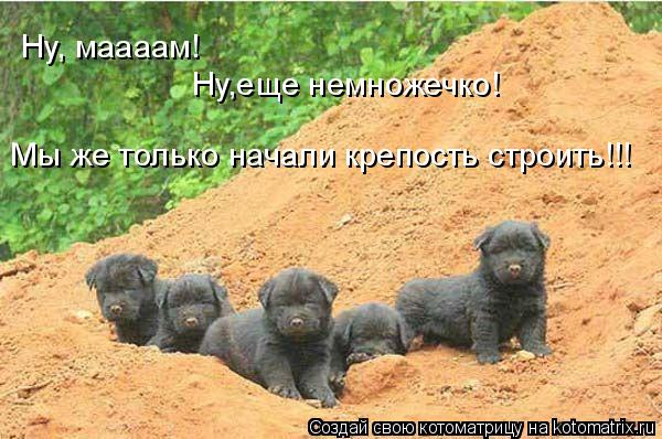 Ну, маааам! Ну,еще немножечко! Мы же только начали крепость строить!!!... Котоматрица: Ну, маааам! Ну,еще немножечко! Мы же только начали крепость строить!!!