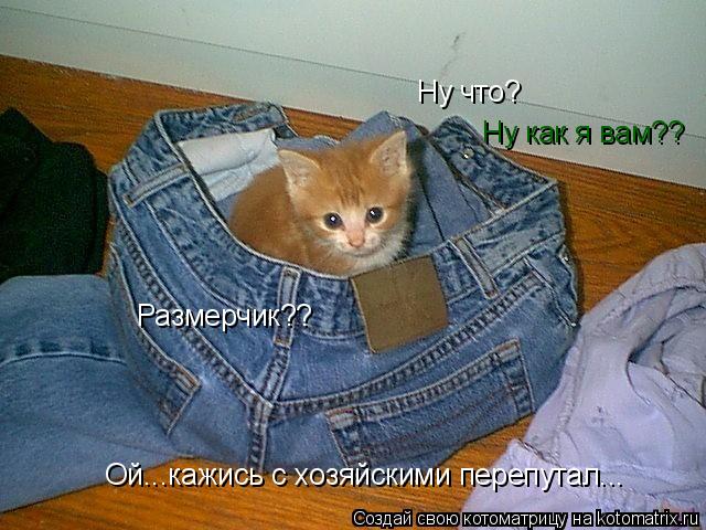 Ну что? Ну как я вам?? Размерчик?? Ой...кажись с хозяйскими перепутал...... Котоматрица: Ну что? Ну как я вам?? Размерчик?? Ой...кажись с хозяйскими перепутал...