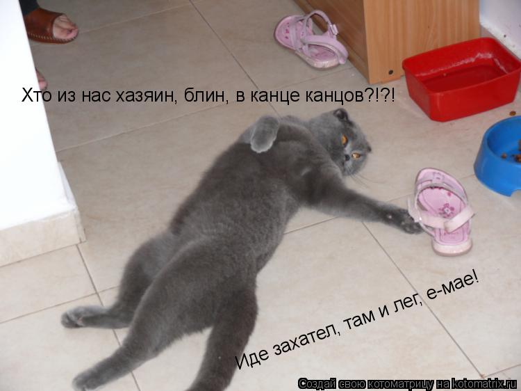 Хто из нас хазяин, блин, в канце канцов?!?! Иде захател, там и лег, е-мае!... Котоматрица: Хто из нас хазяин, блин, в канце канцов?!?! Иде захател, там и лег, е-мае!
