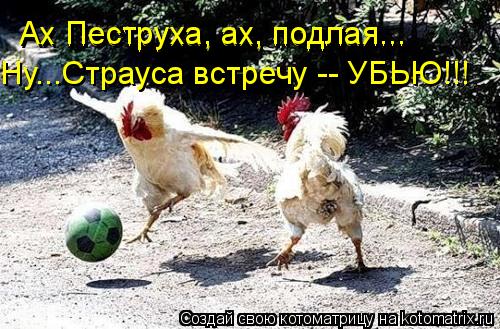 Ну...Страуса встречу -- УБЬЮ!!! Ах Пеструха, ах, подлая... Ах Пеструха, ах, подлая...... Котоматрица: Ну...Страуса встречу -- УБЬЮ!!! Ах Пеструха, ах, подлая... Ах Пеструха, ах, подлая...