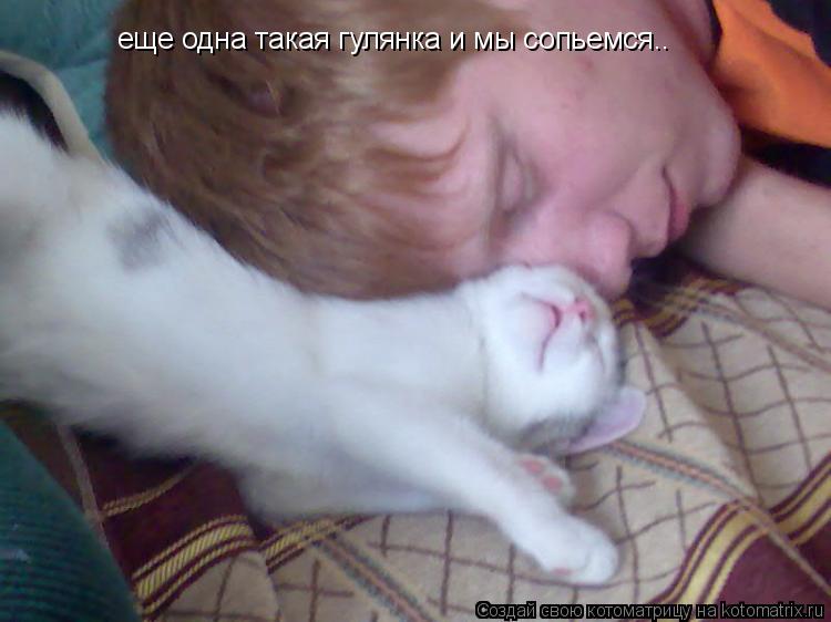 Котоматрица: еще одна такая гулянка и мы сопьемся..