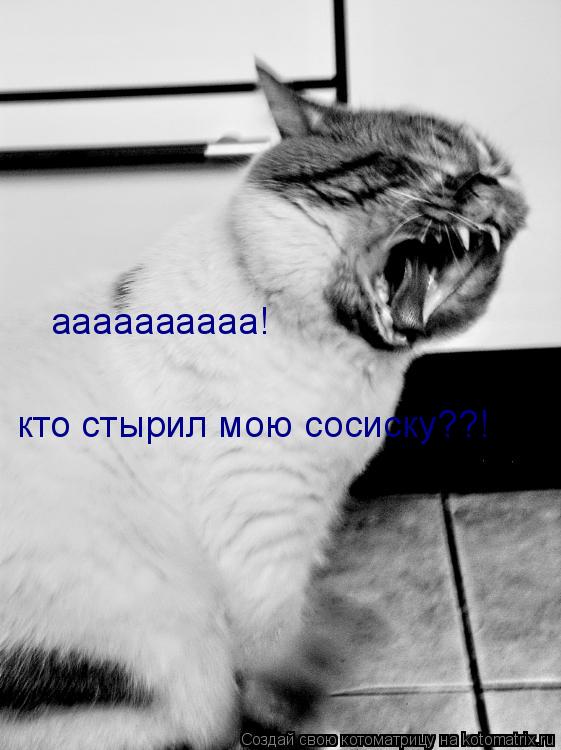 аааааааааа! кто стырил мою сосиску??!... Котоматрица: аааааааааа! кто стырил мою сосиску??!