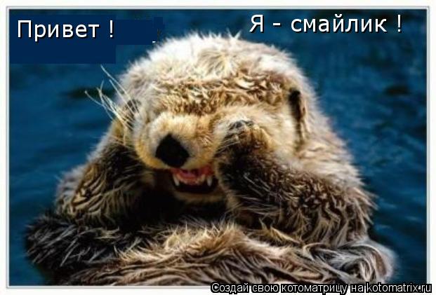 Привет ! Я - смайлик !... Котоматрица: Привет ! Я - смайлик !
