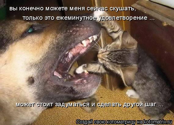 вы конечно можете меня сейчас скушать, только это ежеминутное удовлетворение ... может стоит задумат... Котоматрица: вы конечно можете меня сейчас скушать, только это ежеминутное удовлетворение ... может стоит задуматься и сделать другой шаг ...