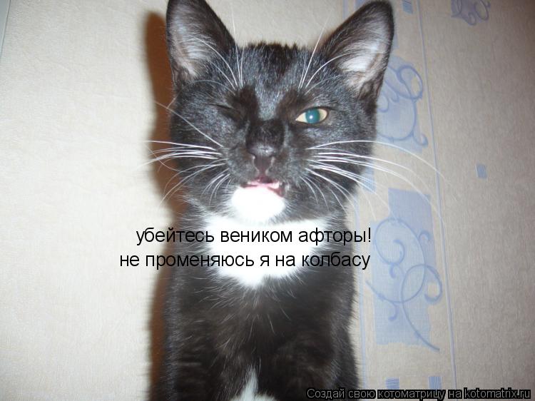 убейтесь веником афторы! не променяюсь я на колбасу... Котоматрица: убейтесь веником афторы! не променяюсь я на колбасу