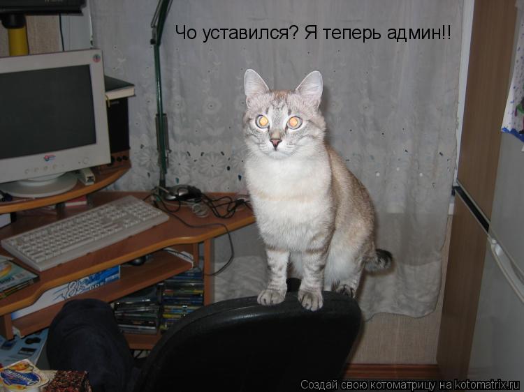 Чо уставился? Я теперь админ!!... Котоматрица: Чо уставился? Я теперь админ!!