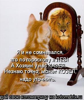 Я и не сомневался, что по гороскопу я ЛЕВ! А Хозяин у нас КАЗЕЛ. Незнаю точно, может КОЗЕЛ, надо ут... Котоматрица: Я и не сомневался, что по гороскопу я ЛЕВ! А Хозяин у нас КАЗЕЛ. Незнаю точно, может КОЗЕЛ, надо уточнить.